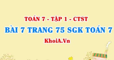 Bài 7 trang 75 SGK Toán 7 Chân trời sáng tạo tập 1